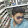 Syed Asif