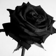 Black Rose Music