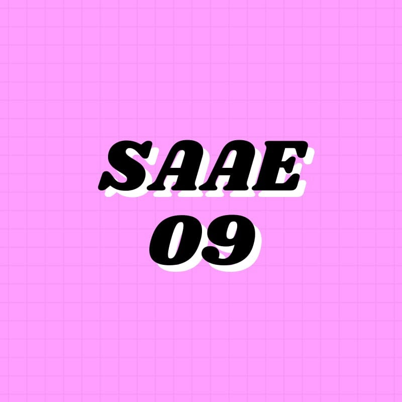 EQUIPO SAAE 09 PRIMARIA 
