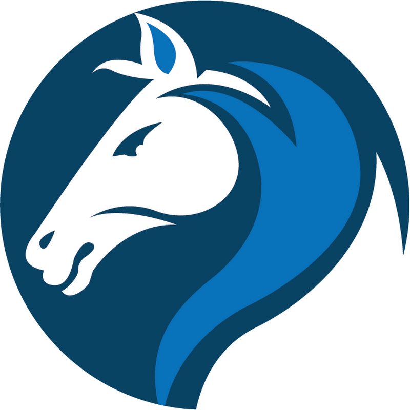 Indian SEO Company