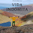 b-wgUA5b02M-channel-avatar-Vida indómita