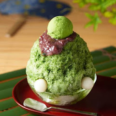 Journey to Discover Japan