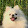 9 Damian Kim
