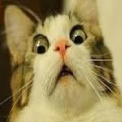 今日ヤバい話を聞いた