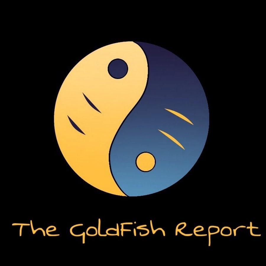 Image result for goldfish report