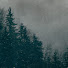 ALЁХА ALЁХА