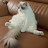 @삐삐-h5u