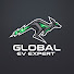 haOH1-SsURw-channel-avatar-Global EV Expert