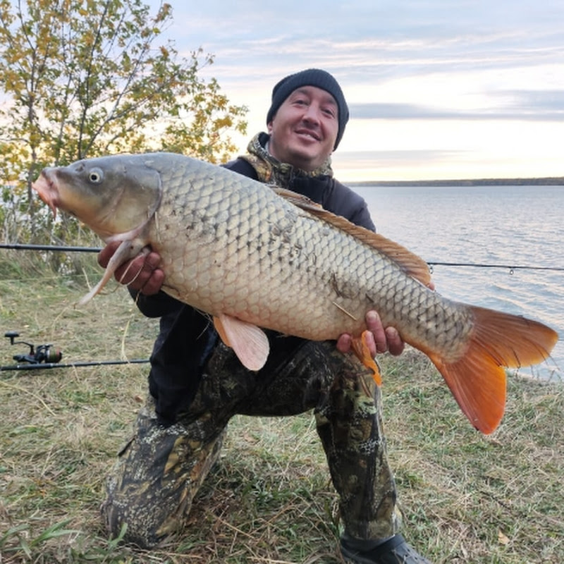 Fishing-Life TV Logo