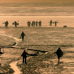 辉老板赶海アイコン画像