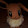 Eevee And everyone else Official