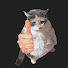 zbcv_qxsjyE-channel-avatar-mooz 