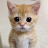 @Animals9910