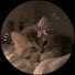 9FpQbTsfAzs-channel-avatar-Seoulix