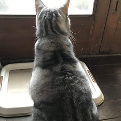神崎