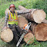 1-egVsIGThU-channel-avatar-S&J Forest Products