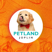 Petland Joplin