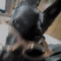 Profile Picture of yaboiskyber