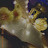 @نورالهدى-ث4ف1ش