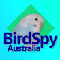 Bird Spy Australia (bird-spy-australia)