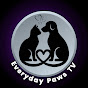 Everyday Paws Tv logo
