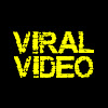 What could Viral Video buy with $3.75 million?