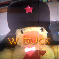 Funny Duck