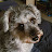 @joshuagoesoutside's avatar
