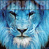 TheINTERMATRIX .