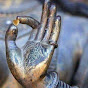 Zentir Zen