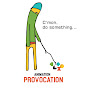 Animation Provocation logo