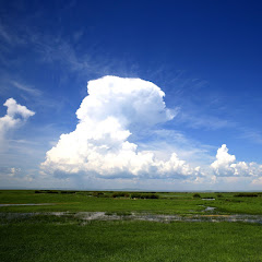 SKYBLUEアイコン画像