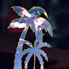 Rokai