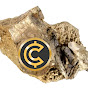 Crypto Nuggetz logo