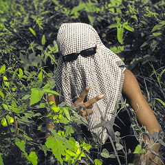 Dumartoka Official 2.0