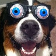 暇つぶしコース