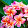 Xxgamer19 Aa