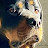 @JonnieTable Avatar