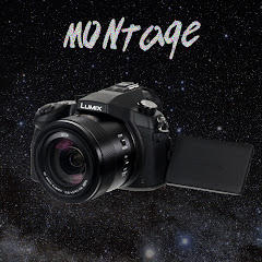 Fanlink profile picture for @montage