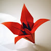 Paperlilies