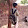 Shivansh Gupta