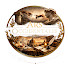 asEest9AwEQ-channel-avatar-Ars Occidentalis