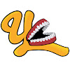 YDLNetwork