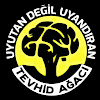 What could TEVHİD AĞACI buy with $100 thousand?