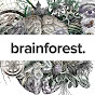 Brainforest Youtube video kanalı Profil Fotoğrafı Brainforest Youtube video kanalı Profil Fotoğrafı