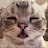 @상가보자