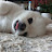 @hitpuppy-07