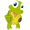 Turtle Interactive