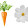 Carrots and cosmos