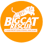 Big Cat Rescue